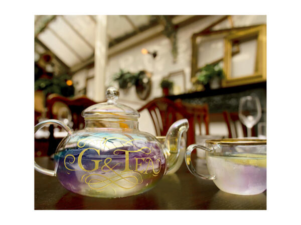 Root7 Gin Teapot & Tea Cups Gift Set