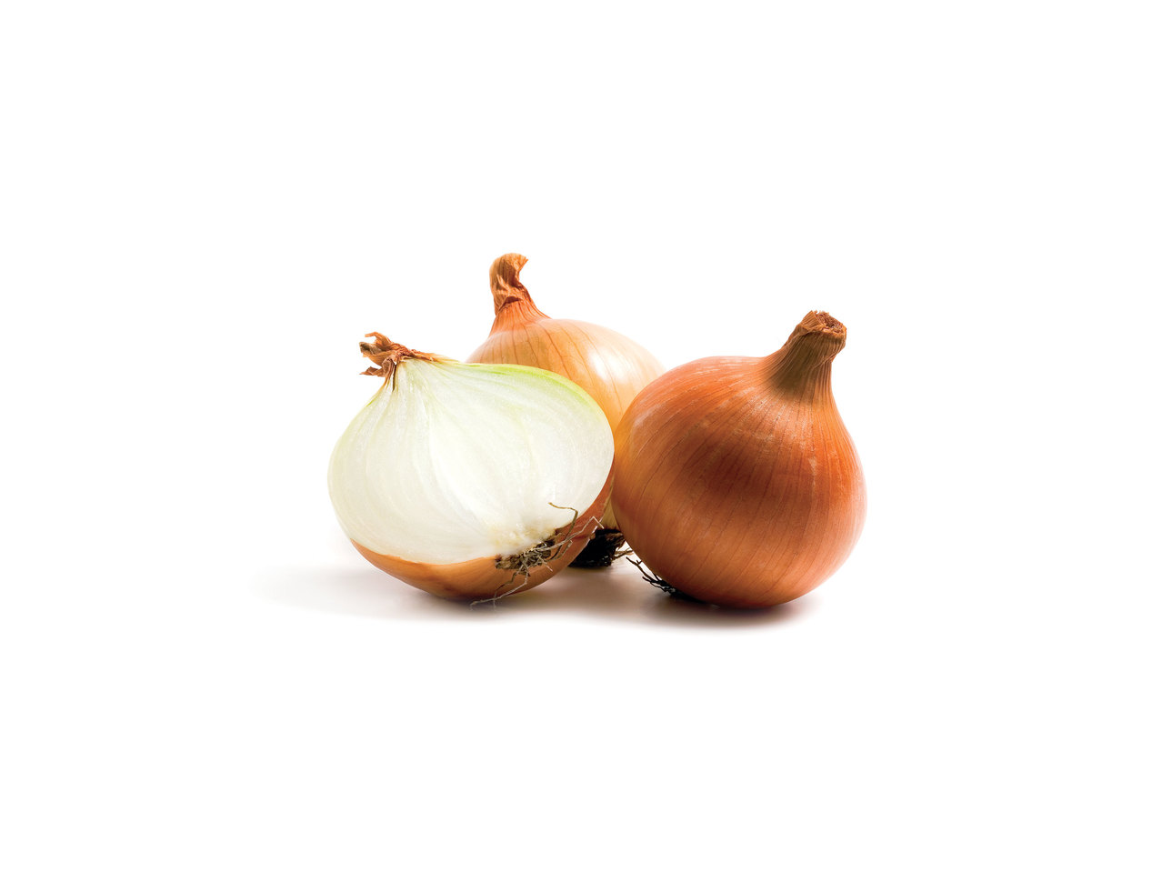 Oignons XXL