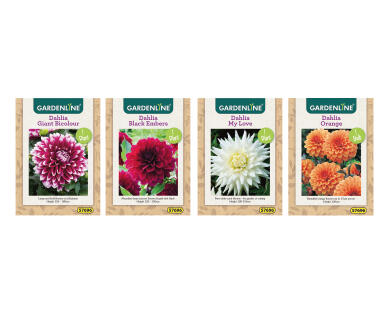 Dahlia and Gladioli Packet Bulbs