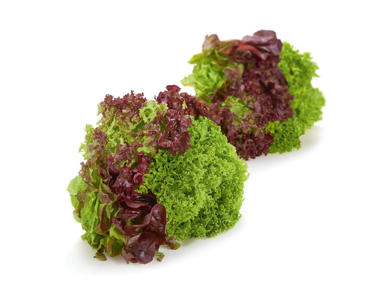 Salade multicolore