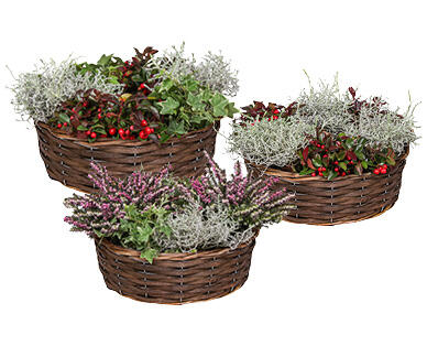 COURONNE DE PLANTES AUTOMNALES
