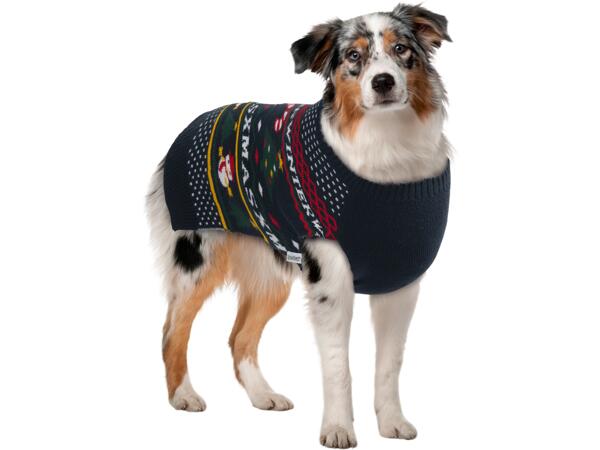 Dog Jumper