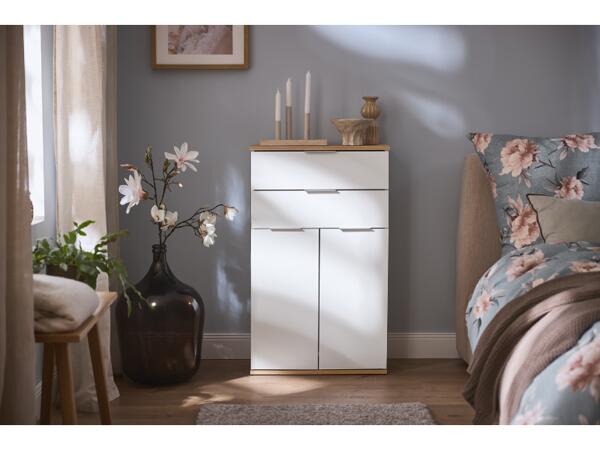 Storage Cabinet