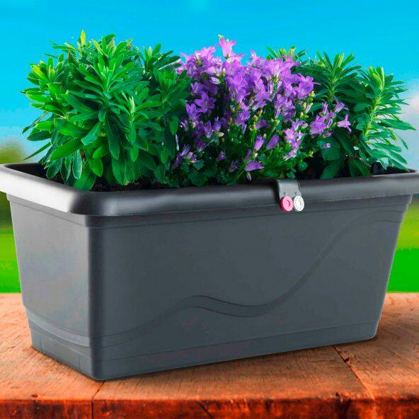 Blomsterkasse