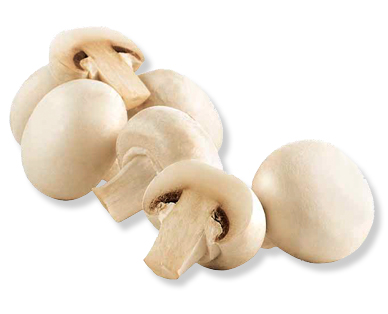 Champignon bianchi