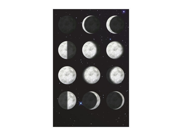 Brainstorm Toys My Very Own Solar System / Moon /T Rex