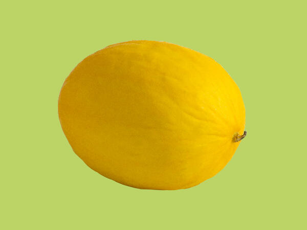 Honeydew Melon