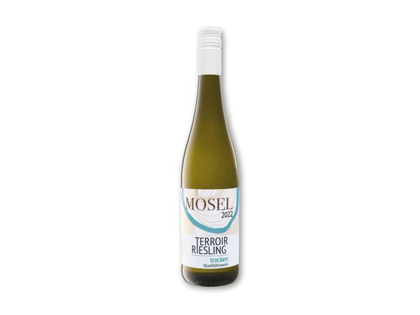 Riesling Terroir Mosel