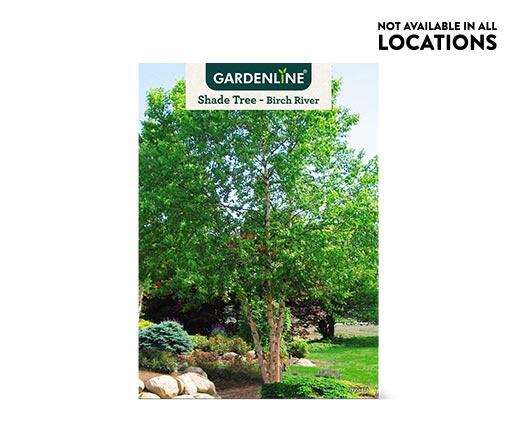 Gardenline 
 Shade or Ornamental Tree Assorted Varieties