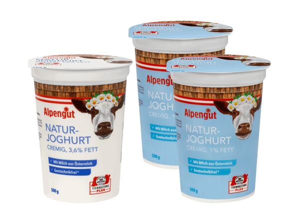 Naturjoghurt