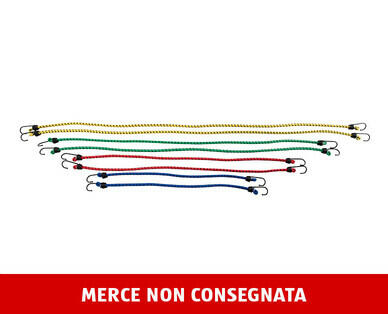 AUTO XS
FERMAPACCHI