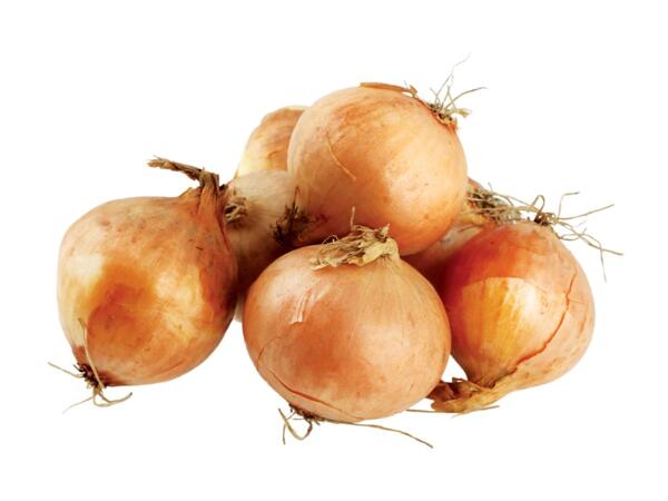 Brown Onions