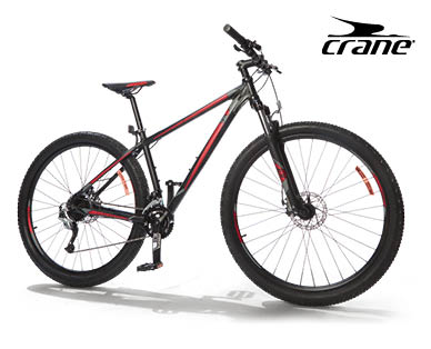 Performance 29er Mountain Bike