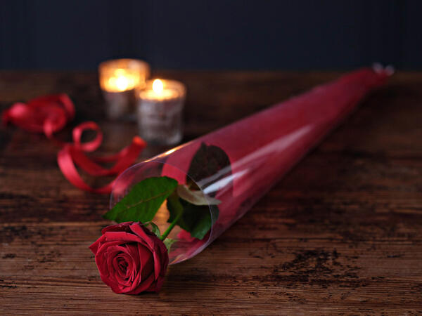 Deluxe Single Red Rose
