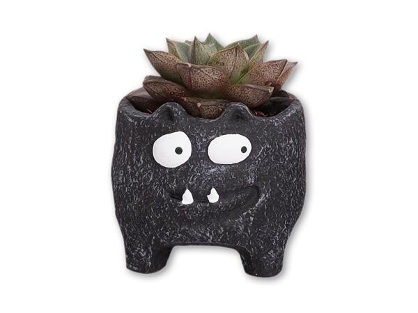 Grøn plante i keramik