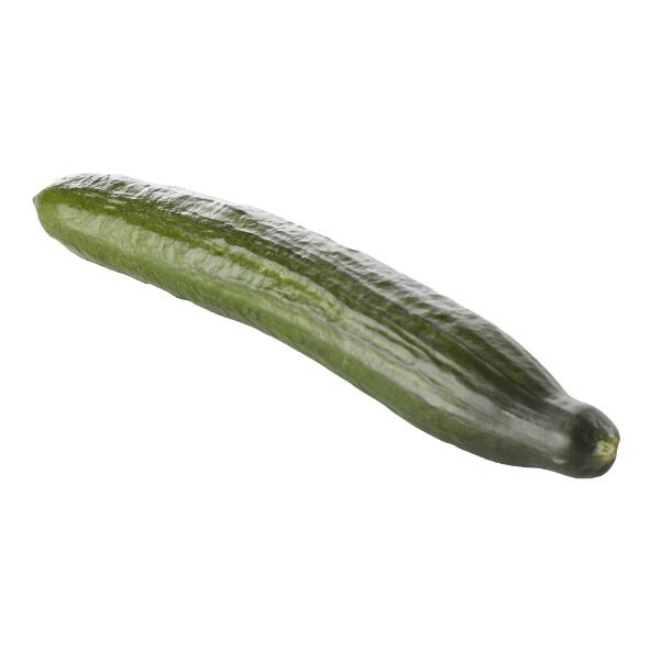 Concombre bio