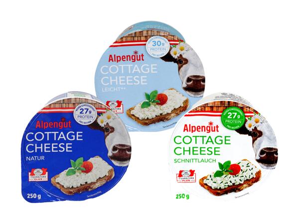 Cottage Cheese