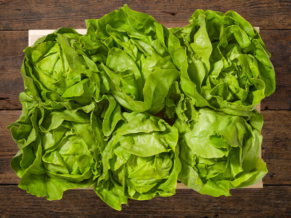 Cœurs de salade