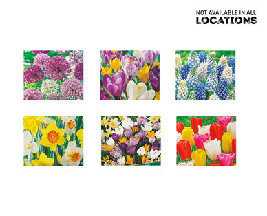 Gardenline Fall Bulbs