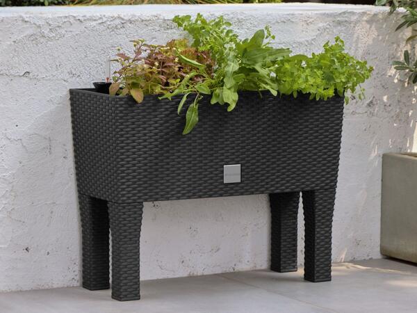 2-in-1 Raised Planter