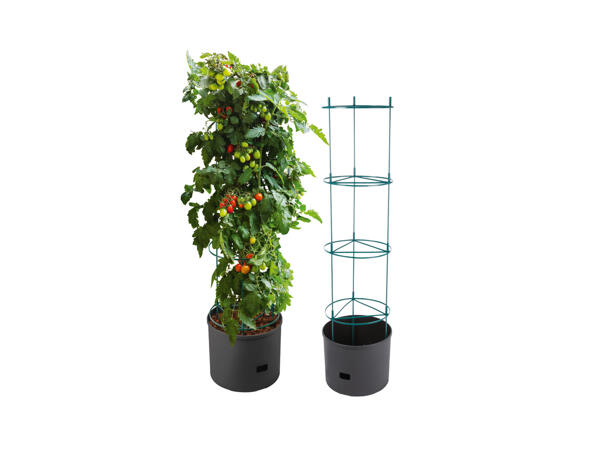 Parkside Kruka för tomatplantor, 20 l