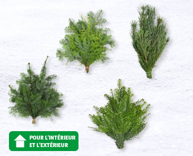 Gerbe de branches