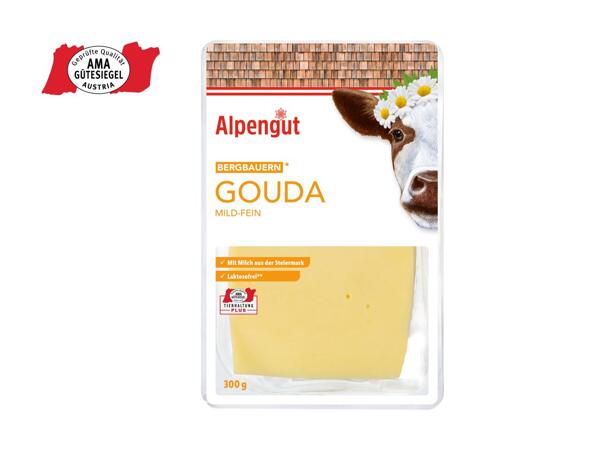 Bergbauern Gouda