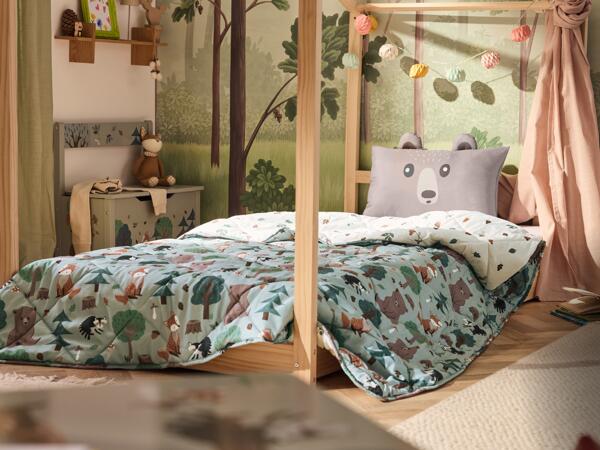 Blanket And Cushion Set