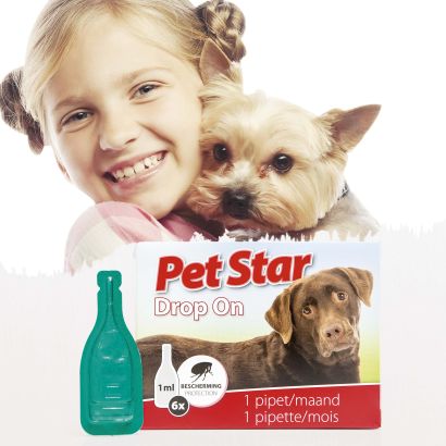 Soin du pelage pour chien