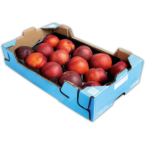 Premium Nektarinen XXL