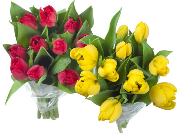 Tulpenstrauß
