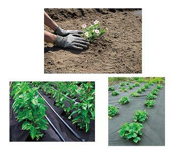 Gardenline
Landscaping Fabric