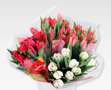 Tulipes