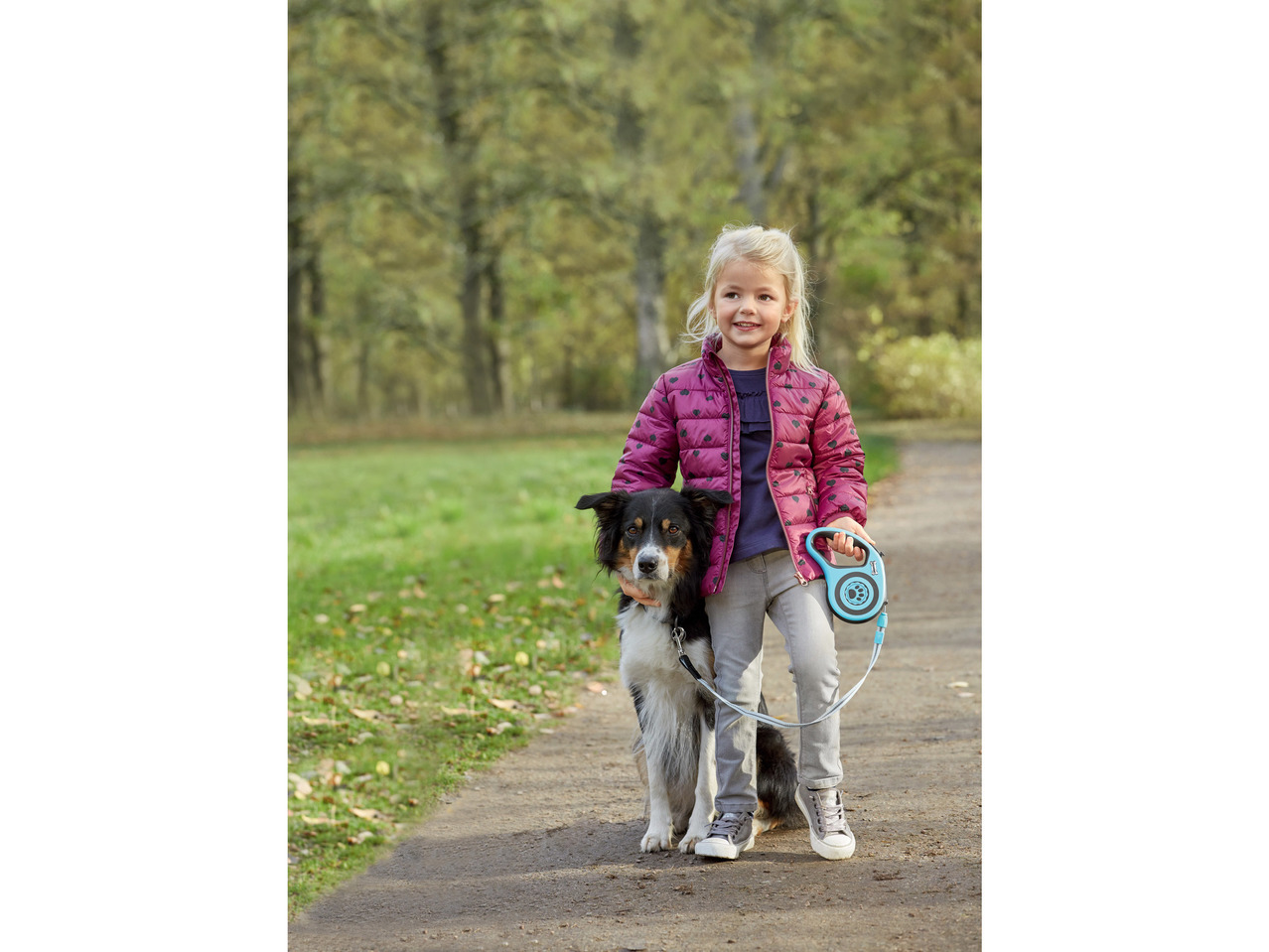 Retractable Dog Lead
