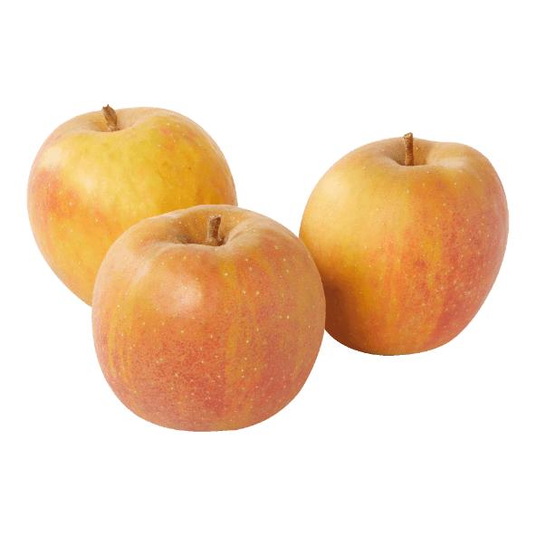 Pommes à étuver