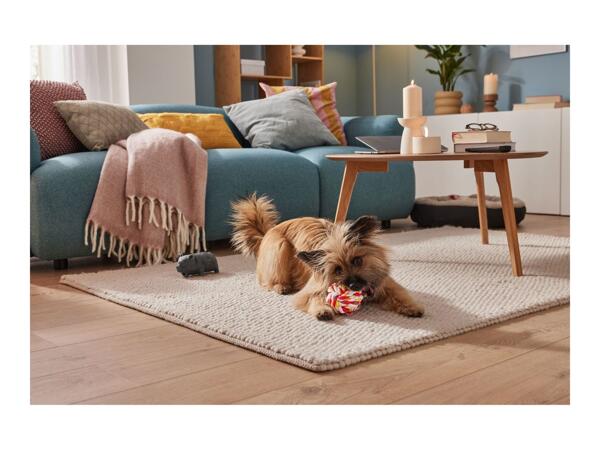 Zoofari Dog Toy - Rope Ball