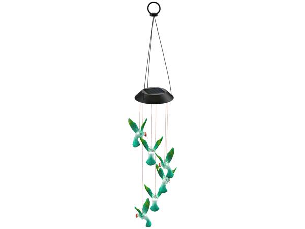 Solar Light Decoration