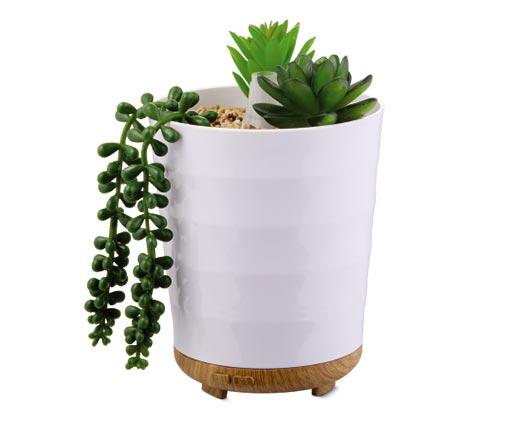 Huntington Home 
 Succulent Diffuser