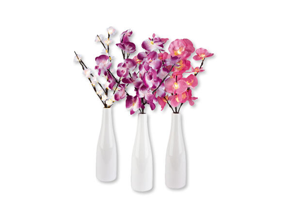 Blomvas med belysning