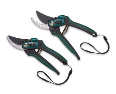 Professional Pruner Set 2pc