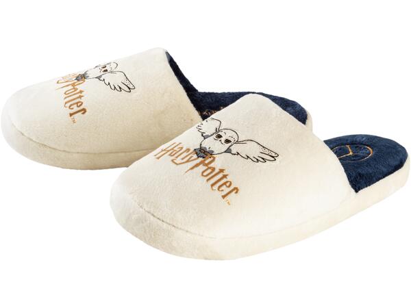 Harry Potter Slippers