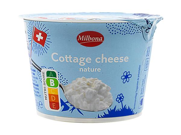 Cottage Cheese