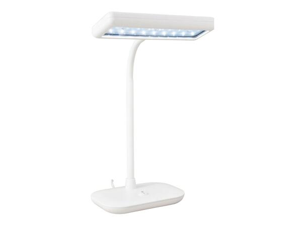 LED Daylight Lamp