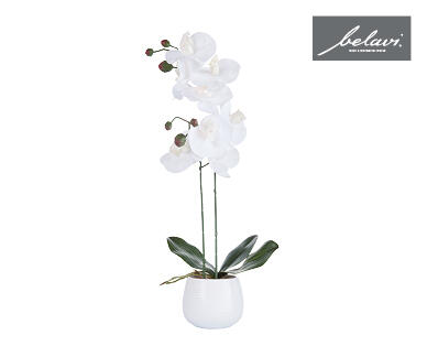 Artificial Plants in Decorative Pots