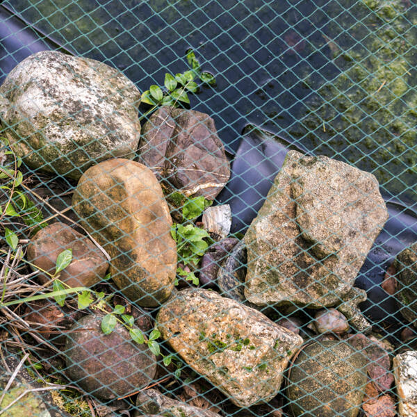 Laub- und Teichschutznetz