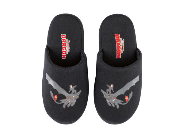 Boys' Slippers "Dragon Trainer, Marvel, Paw Patrol"