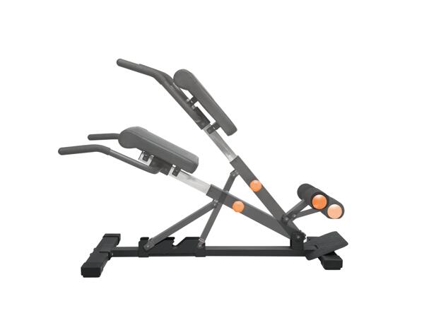 Multi Trainer