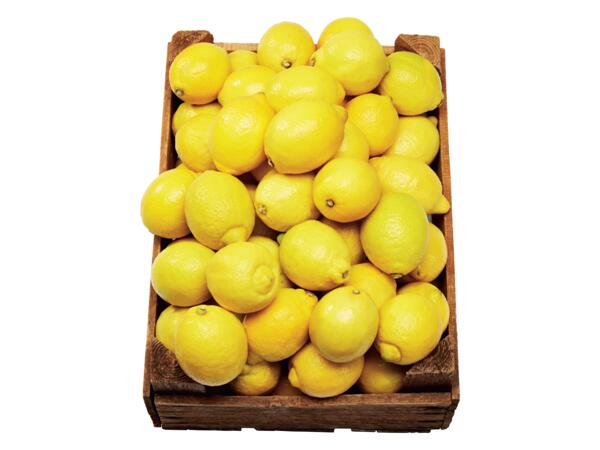 Citroner