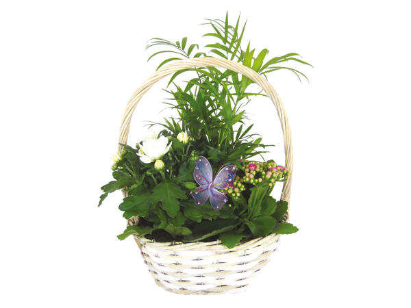 Mother's Day Oval Basket