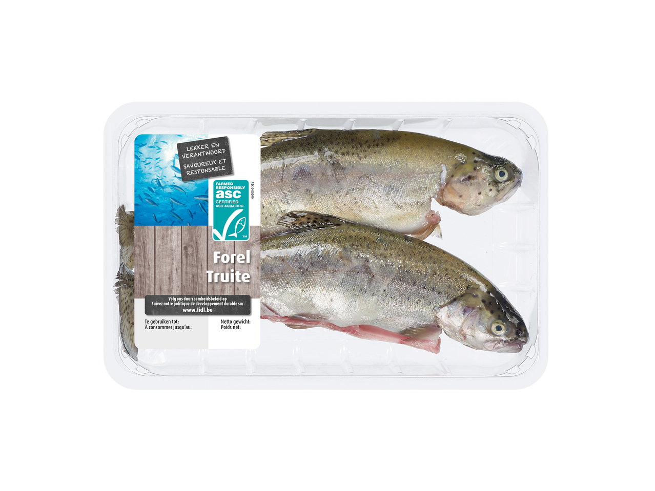 Forel